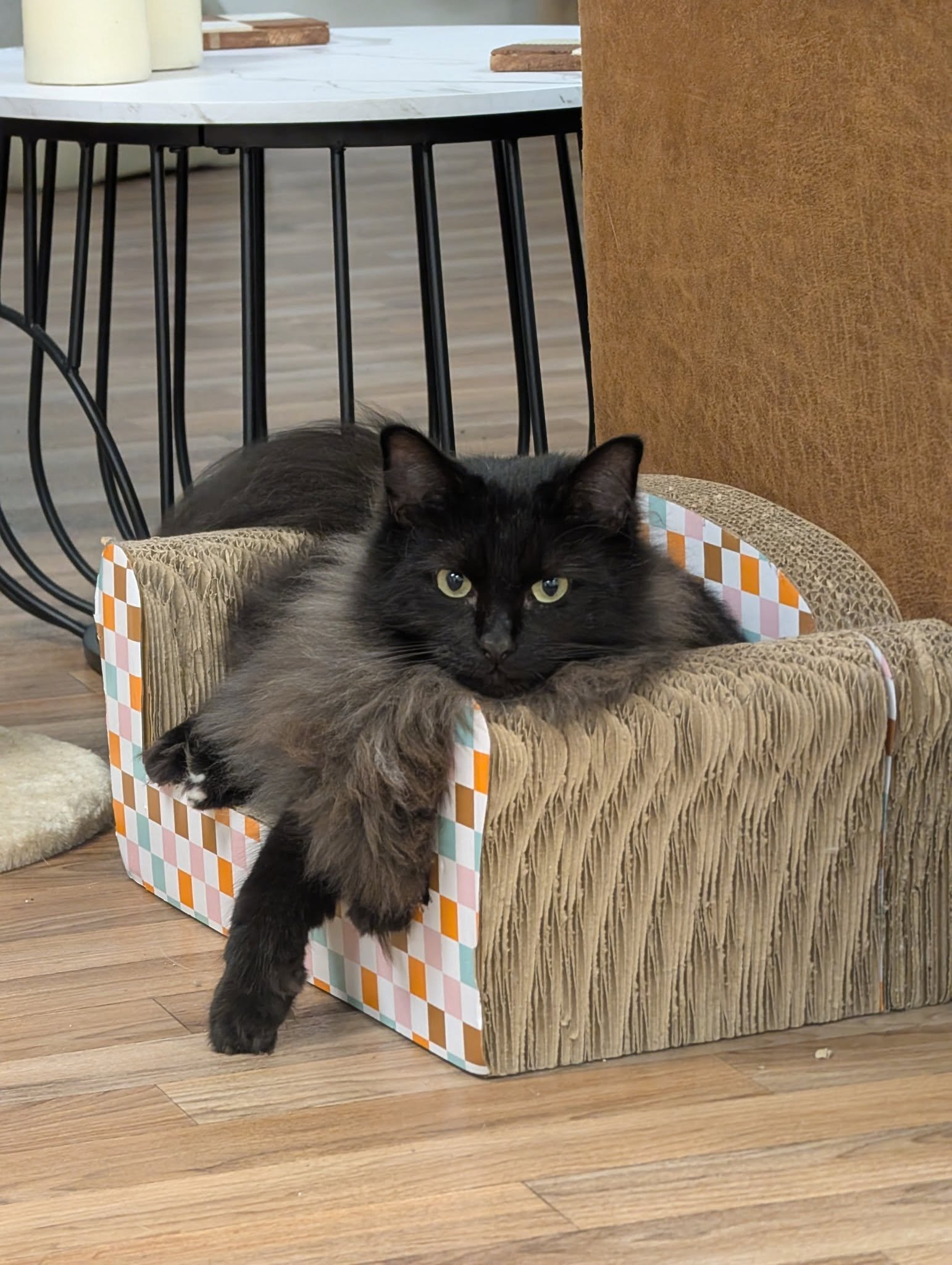 490272131_635458536313279_4251888782327721679_n