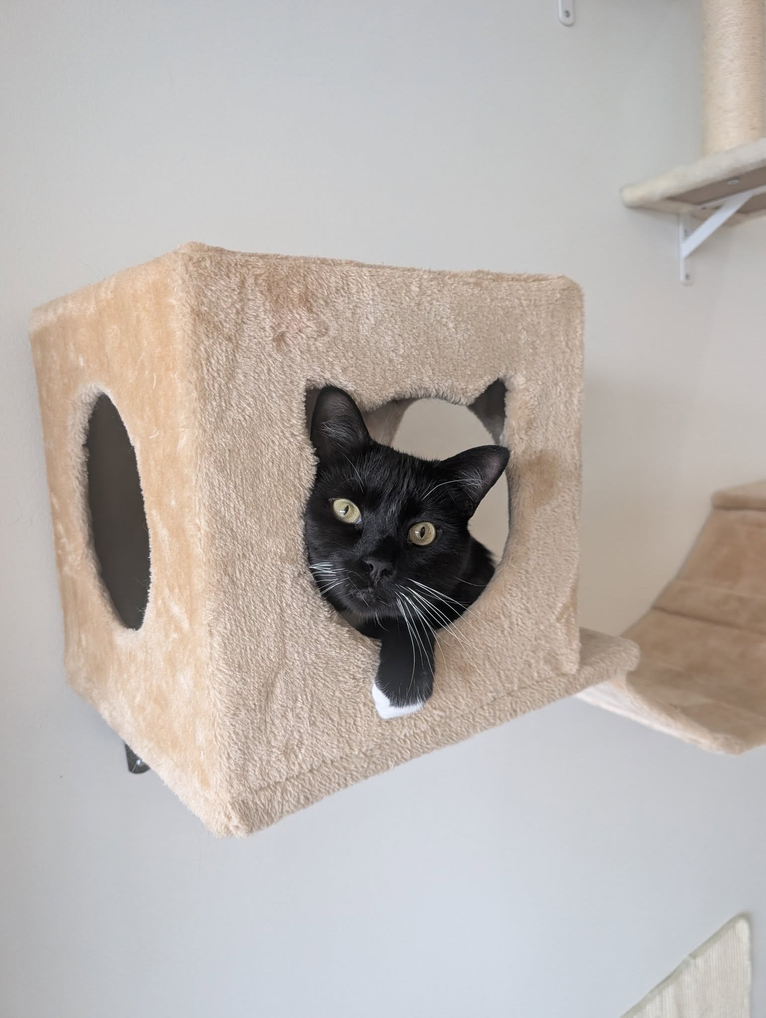 492498877_650311451494654_8537274646618545795_n