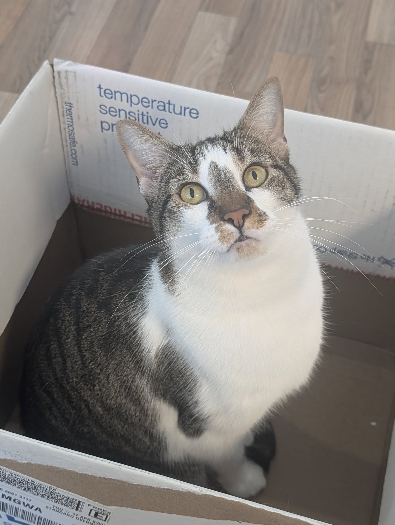 493828064_650311238161342_8723938132071144389_n