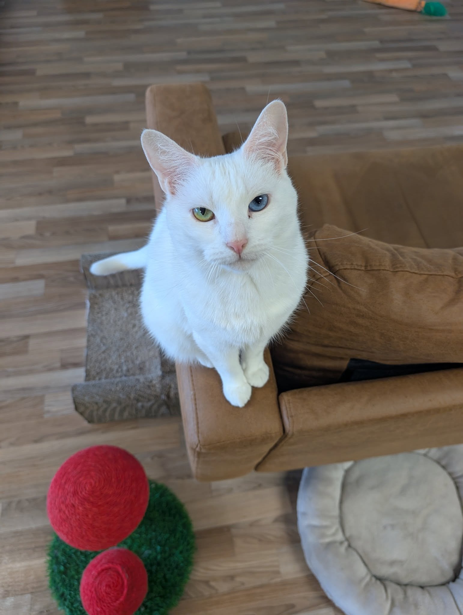 494762880_661603890365410_4186180378750993254_n