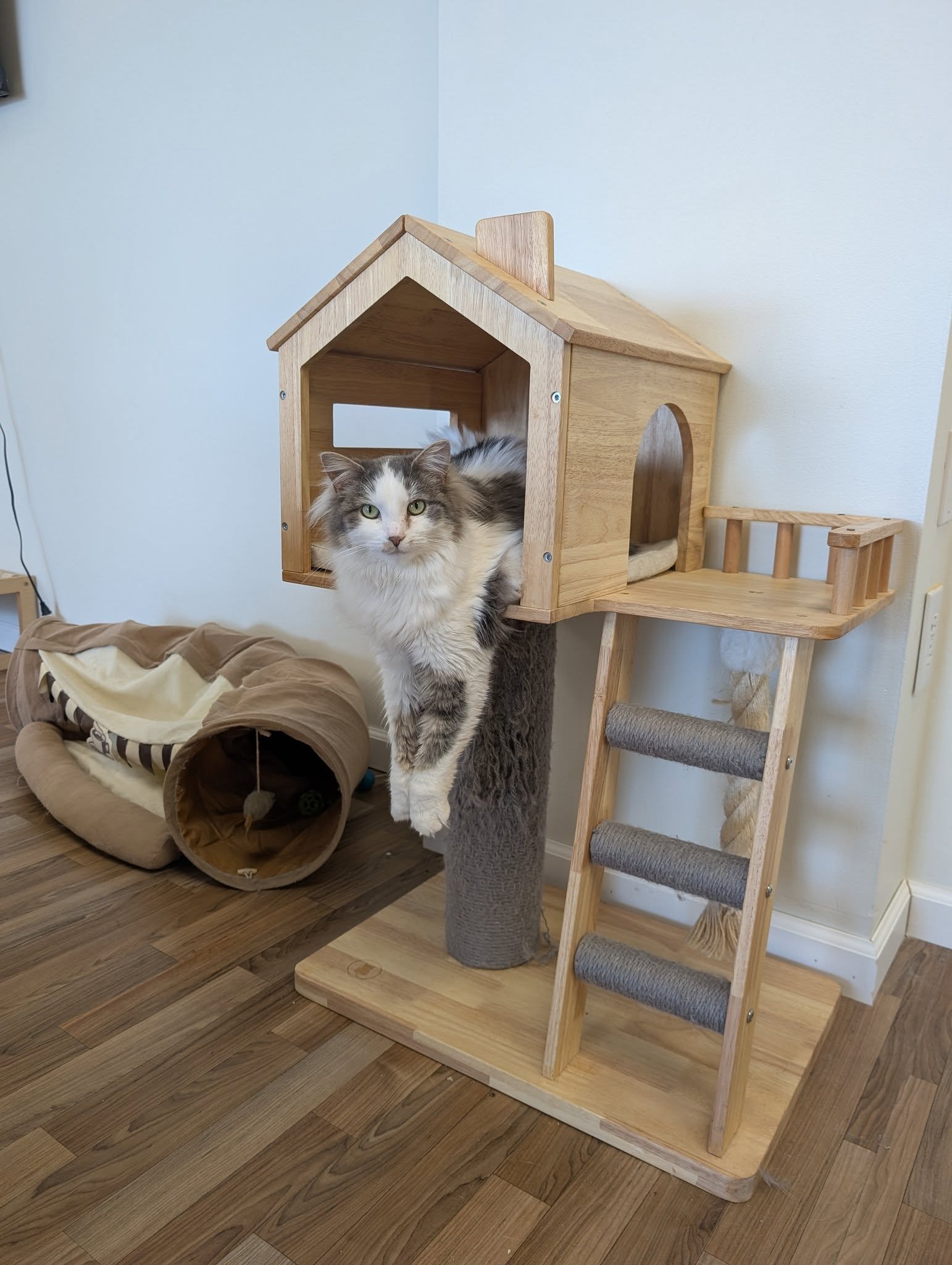 495041452_661603290365470_3425217902446563846_n