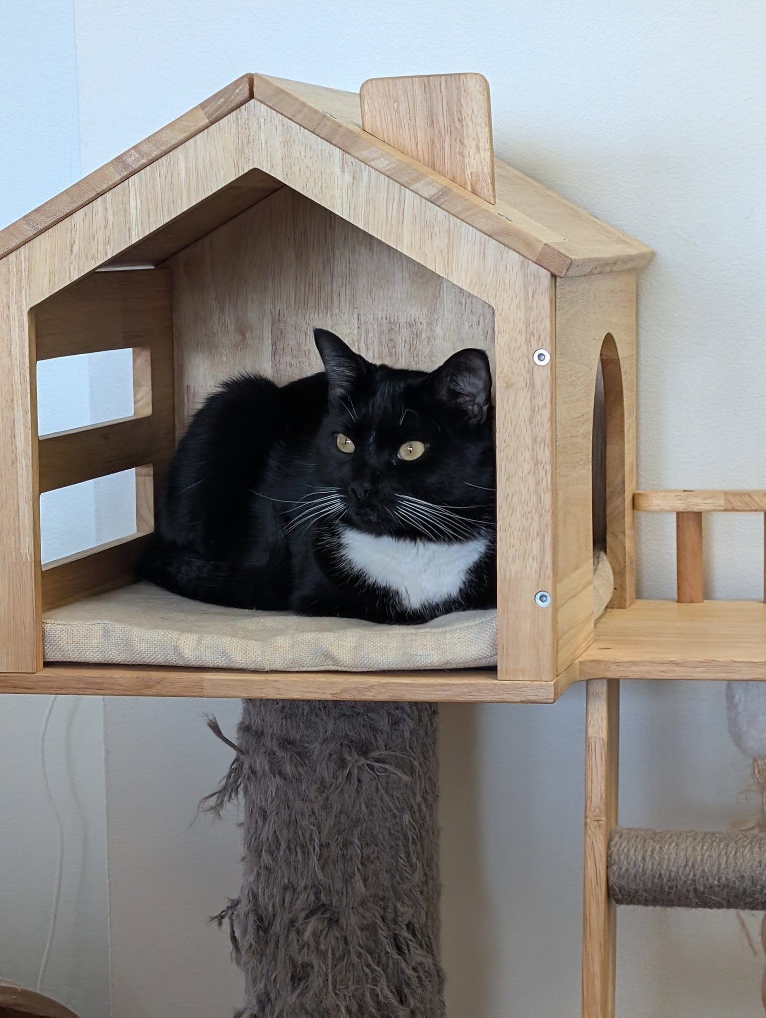 495381948_666321109893688_1761649681895827444_n