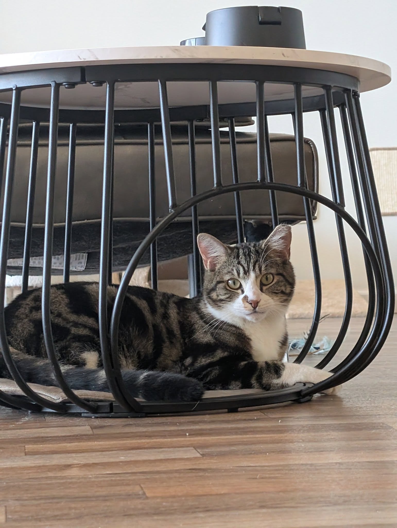 499581873_673818255810640_8970354363531078478_n