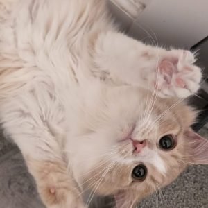 473242785_550260034833130_6445062188949809978_n