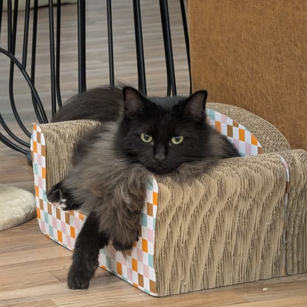 490272131_635458536313279_4251888782327721679_n